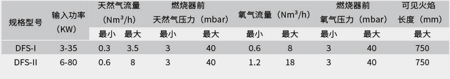 DFS系列柔焰扁平燃燒器